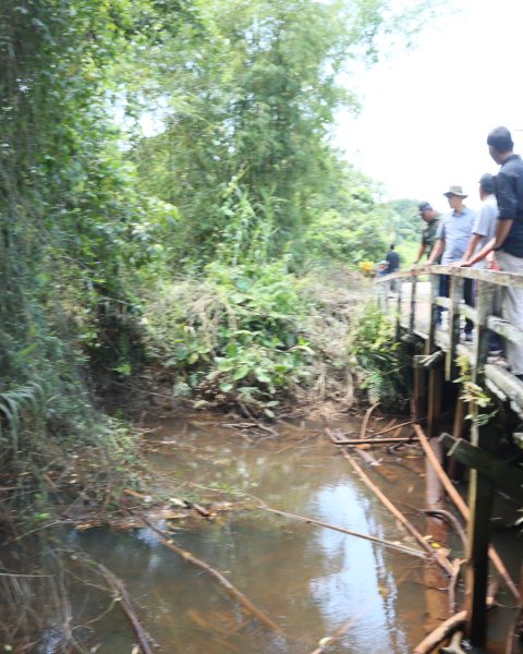 Luberan Sungai Amborawang Laut Rusak Lahan Pertanian? Samsun Segerakan Normalisasi